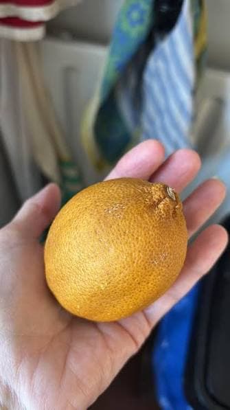 Main tenant un citron pour un exercice de magnétisation